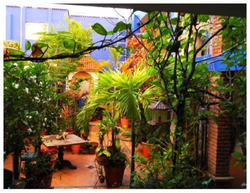 Suitel 522 Eco Hostel Масатлан Экстерьер фото